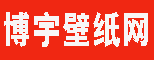 博宇